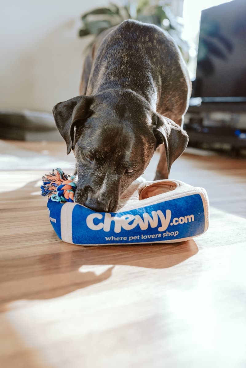 Nulo Adult Dog Food