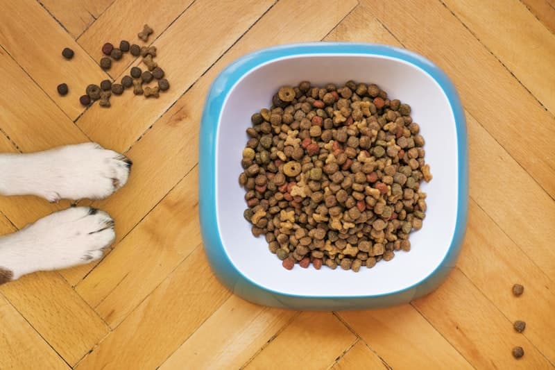 Kitzy Premium Kitten Food